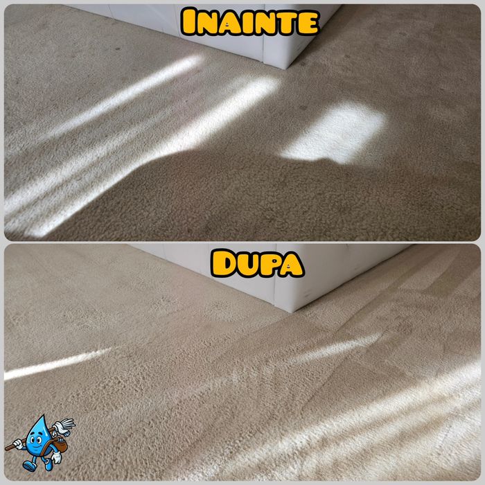 Curatare Canapele Saltele Mochete Fotolii Covoare [Spalare Igienizare]