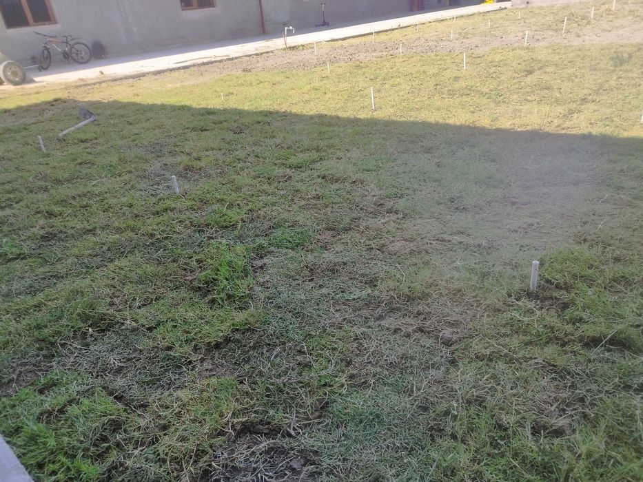 Tabiiy chim va ajriq