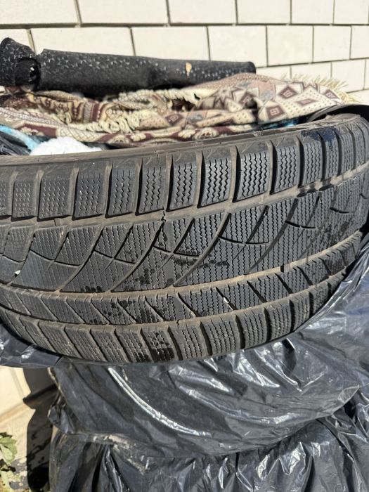 Продам ризина лепучка