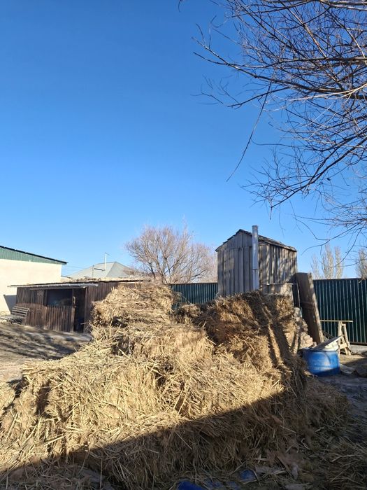 Камыс прес сатылады