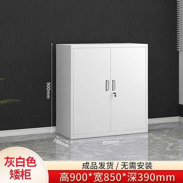 Ofis uchun metall arxiv shkafi | Архивный шкаф для офиса прочный