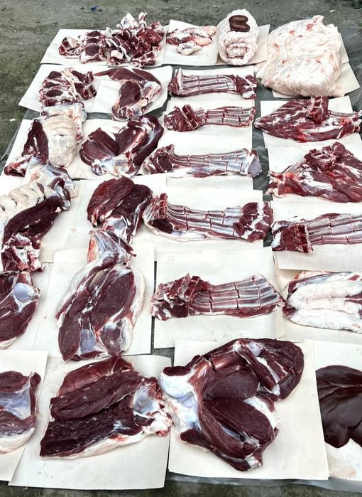 Qoylar sotiladi qurbonlikka