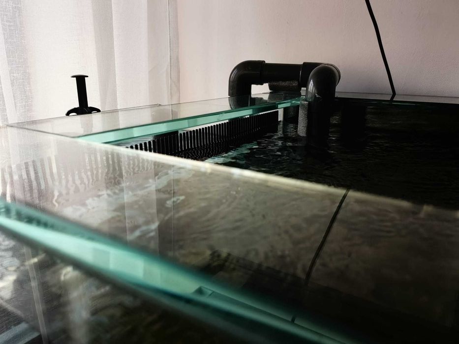 Acvariu marin la comanda