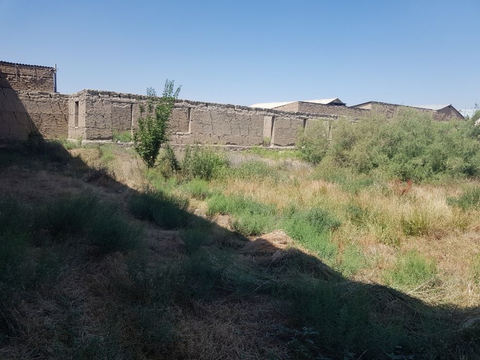 Нарпайский районе