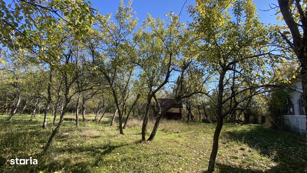 Casa+teren 2713 mp in loc. Babana, jud. Arges. Comision 0%