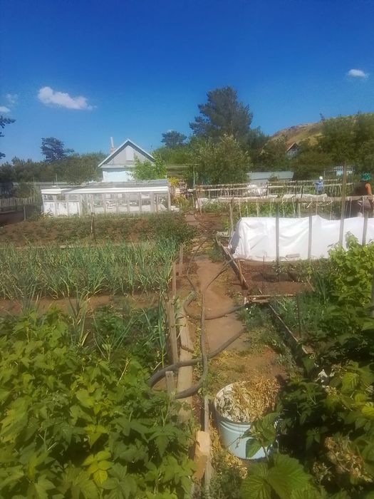 Продам дачу в обществе Металист