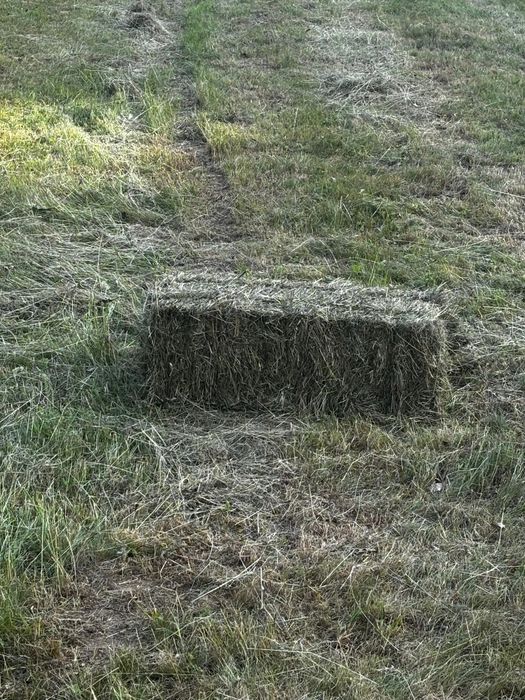Baloți de fân de vânzare