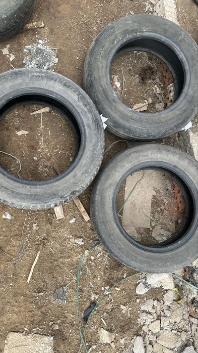 Летние шины triangle