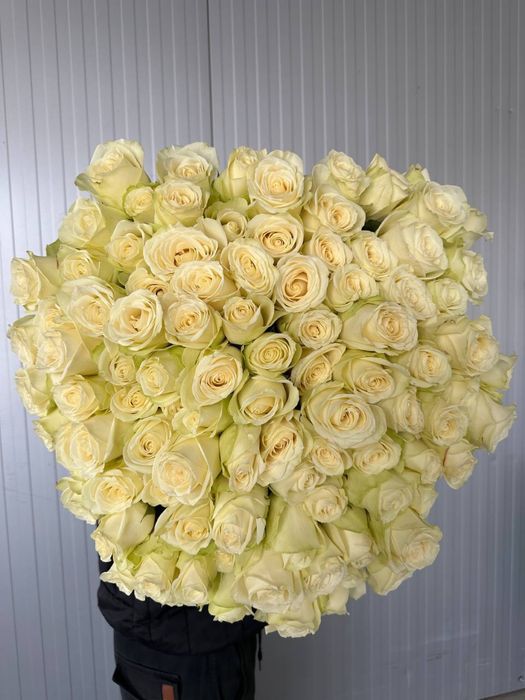 Цветы , букеты , живые розы пионы тюльпаны