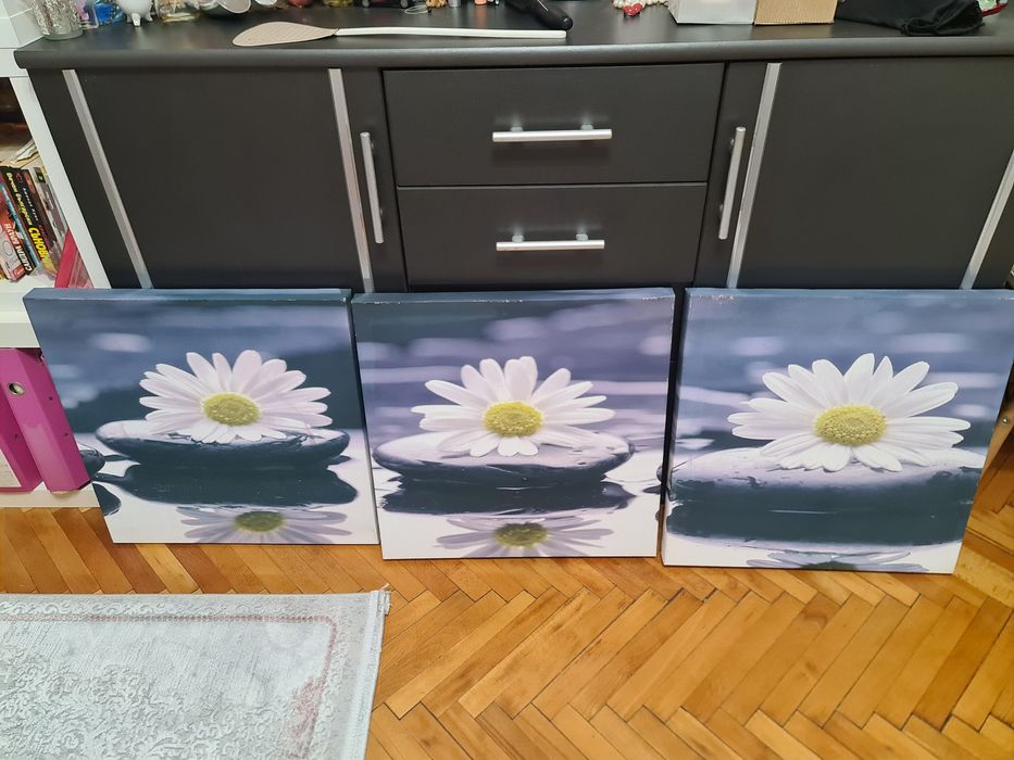 3 броя картини .