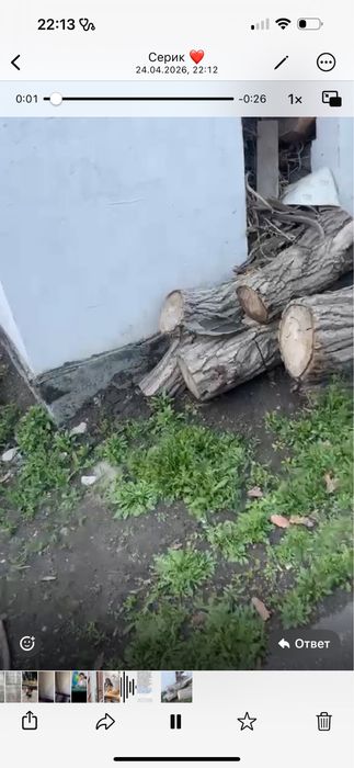 Дрова отдам даром !!!