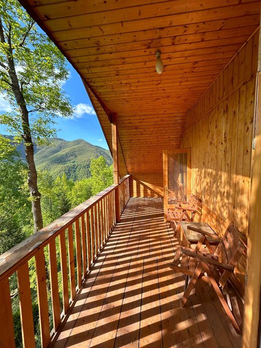 Cabana în Muntele Rece de inchiriat (FACTURA/Ciubar+masa de biliard)