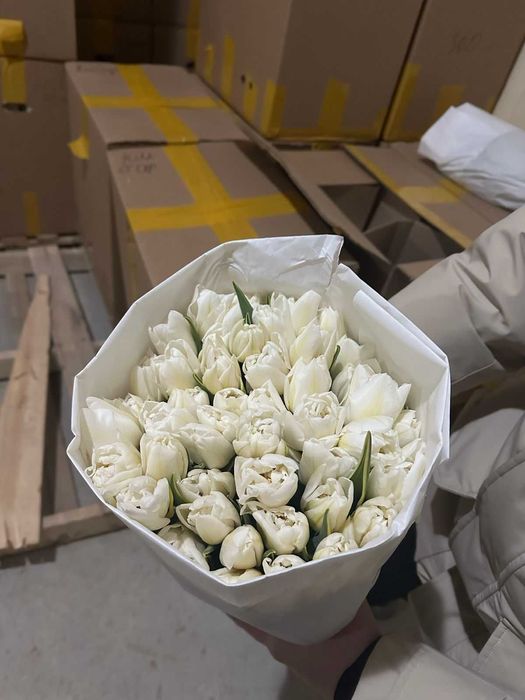 Тюльпаны оптом Костанай