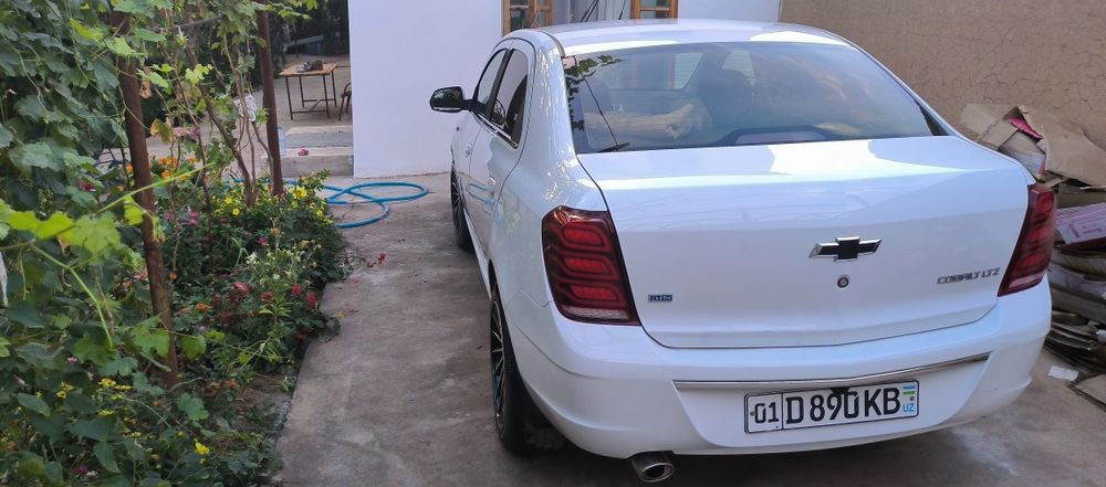 Kobalt sotaman Metan bor 1yil boʻldi taqilganiga