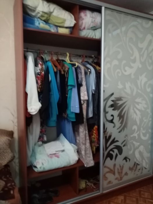 ШКАФ-КУПЕ (двери зеркало с рисунком)