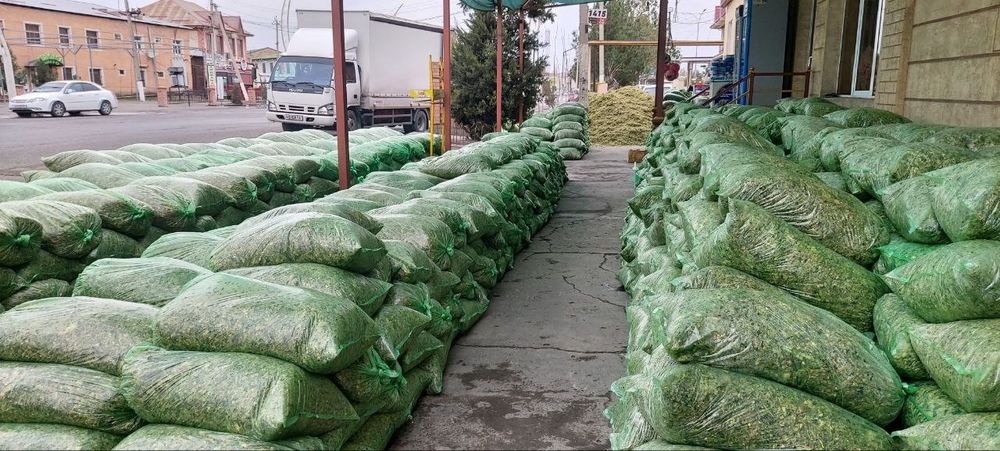 Silyos qop Optom narhlarda sotiladi