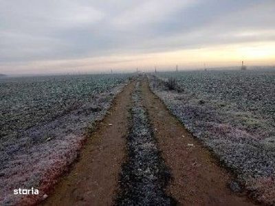 Teren extravilan Snagov, ID: R2884549