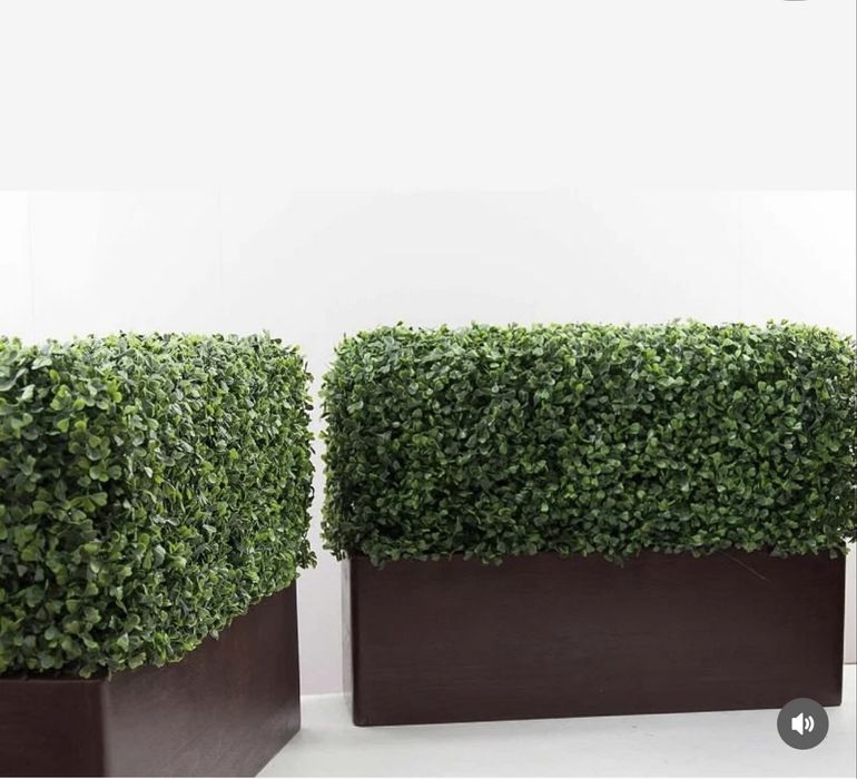 Самшит Искусственный