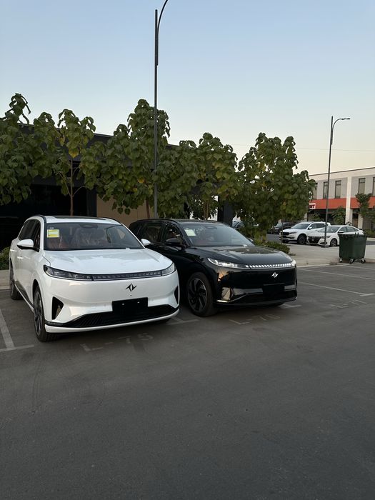 Dongfen 008 $31900 shoshilamz!