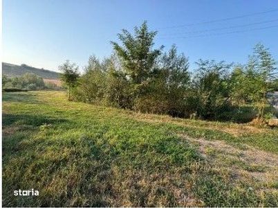 Teren partial intravilan Romani, judetul Neamt, ID: R2326723