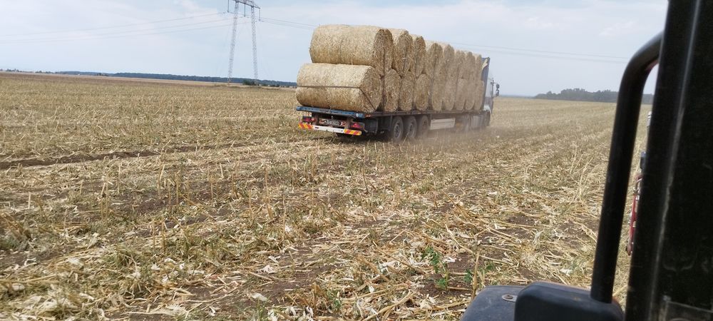 Baloți rotunzi de coceni