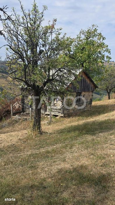 Teren de vanzare 8.300 mp Plesi Loman judetul Alba