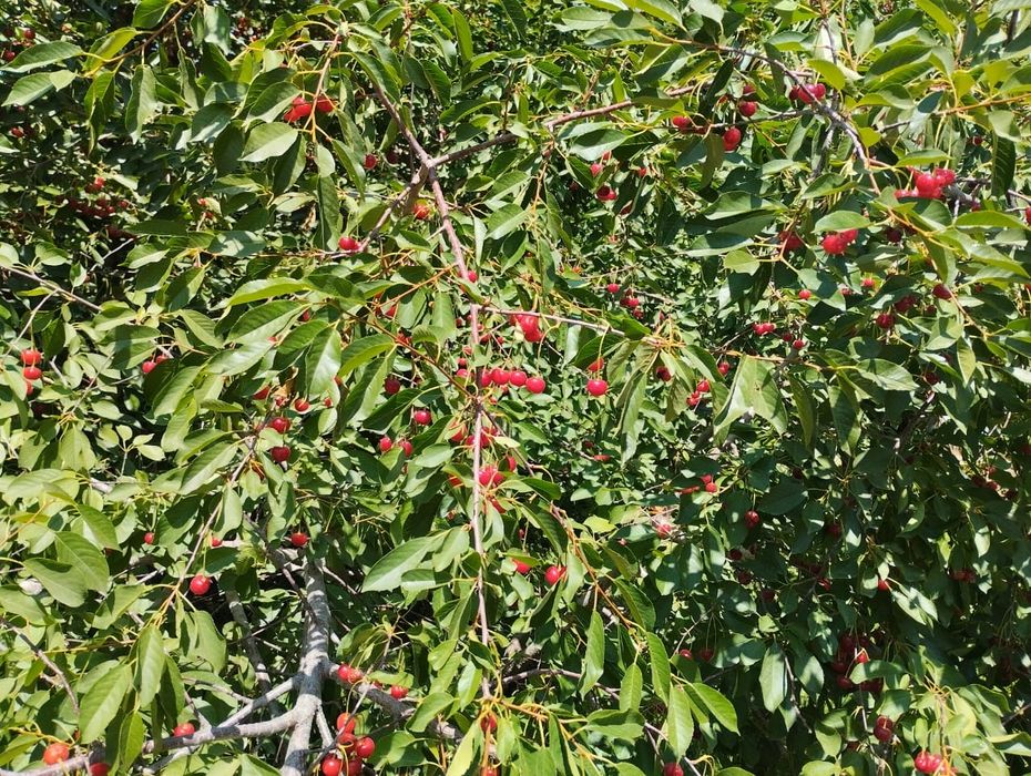 Дом на новом базаре