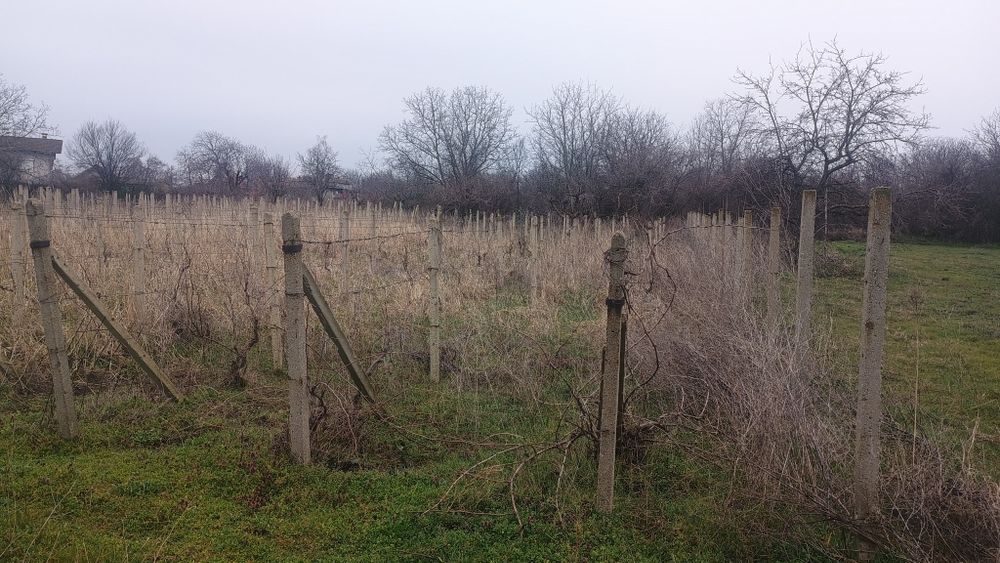 ВИЛА  с   Двор  1  Декър