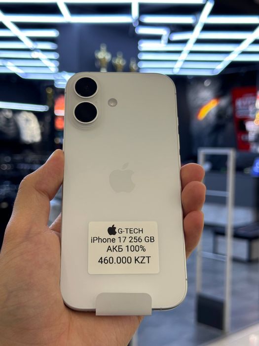 iPhone 17 256GB 100%