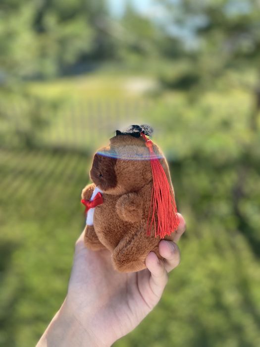 Брелок Капибара Студент