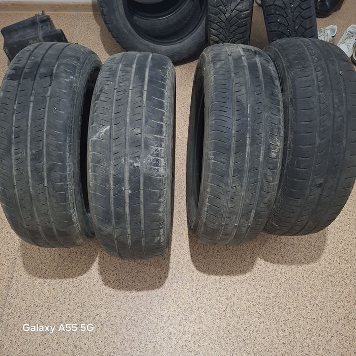 Баландар жаксы жагдайда