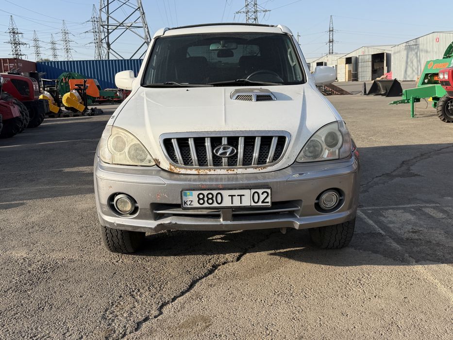 Hyundai Terracan 2001 гола
