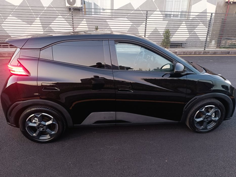 BYD seagull qora idial