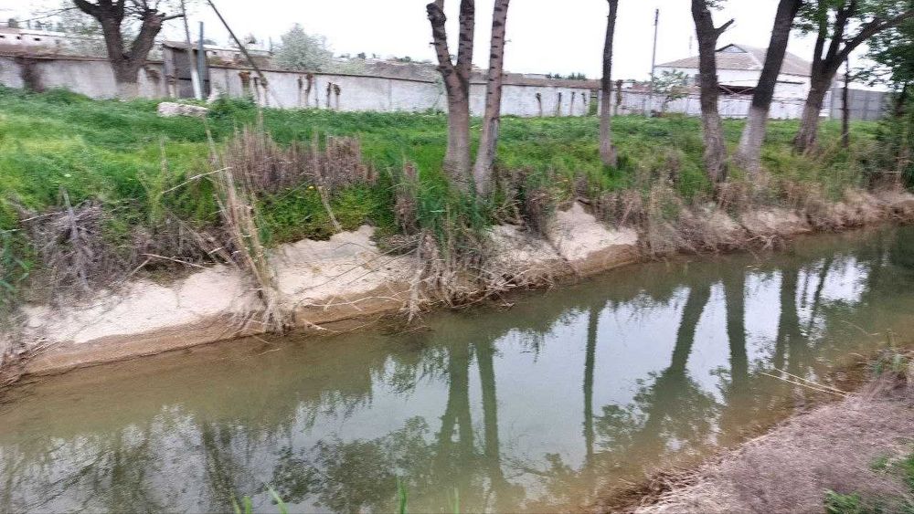 Chorvachilik fermasi