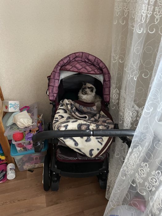 Новая коляска