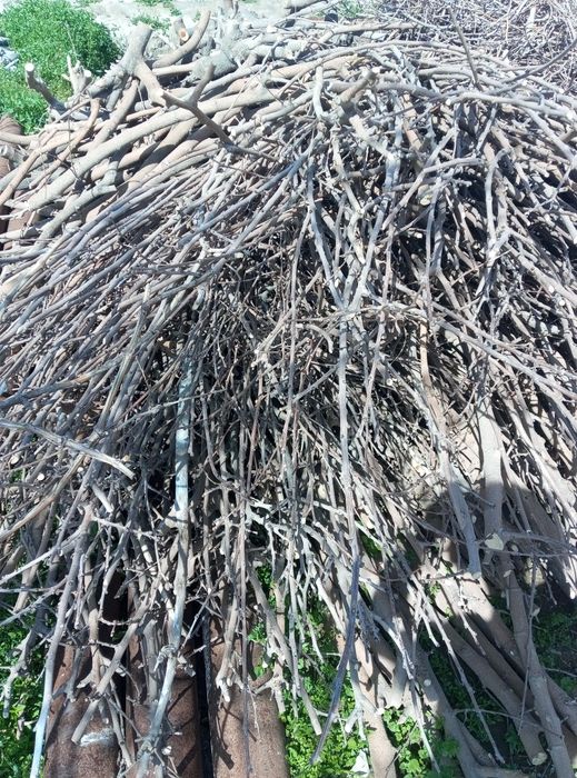 O'tin sotiladi Samarqand shahrida