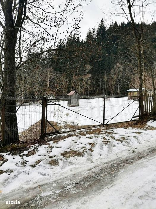 Neamt - Borca, teren 3386mp, langa padure