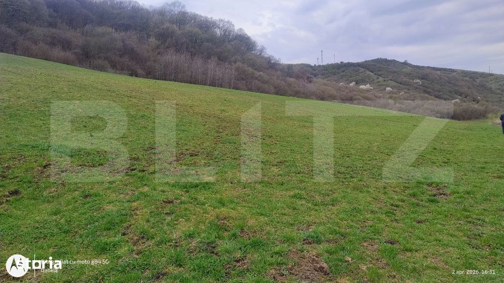 Teren superb 2.500 mp in Nicula – liniste, natura si priveliste de v
