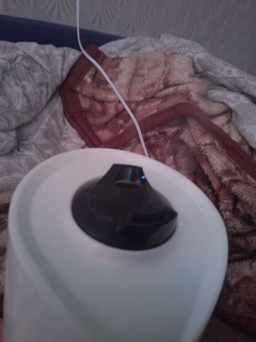 Увлажнитель воздуха EcoHome