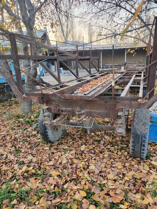 Asalari prisepi sotiladi