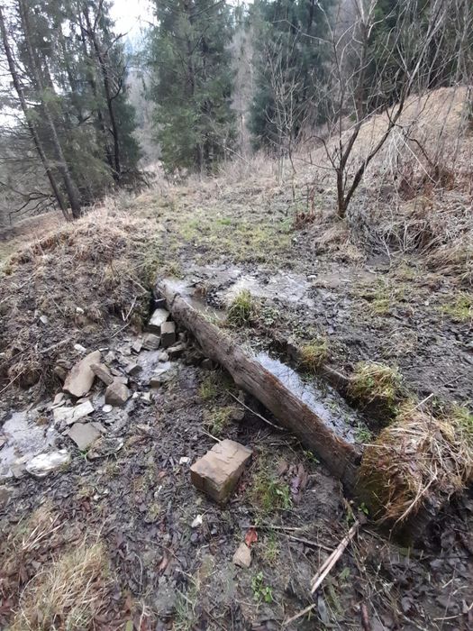 Vand teren extravilan in comuna Brodina, judetul Suceava