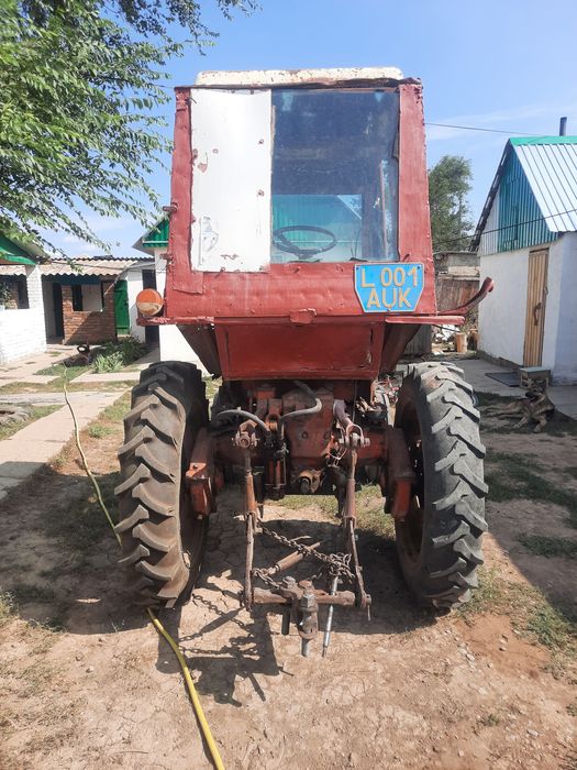 Жас жұбайлар жыныстық қатынасқа түсе бастайды