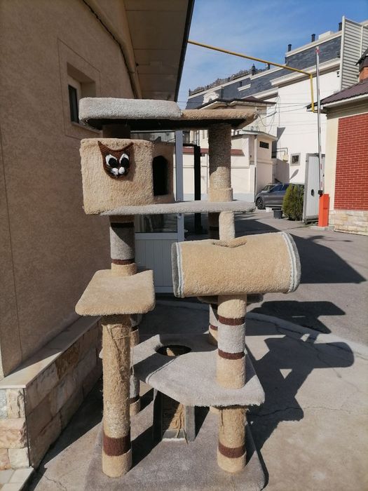 Когтеточка для кошек. Лежанка с бортиком. Когтеточки для кошек