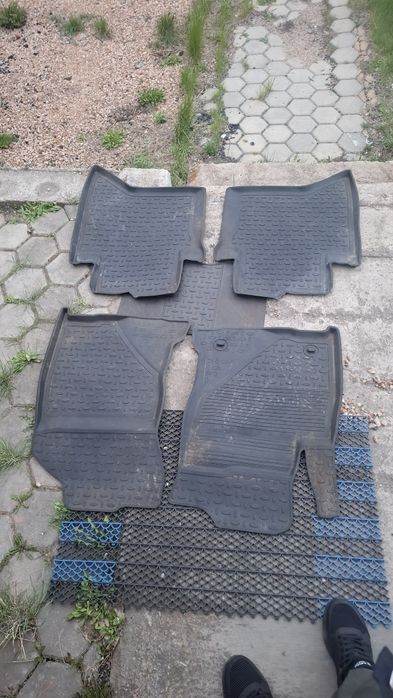 Полики тоуото хаилукс