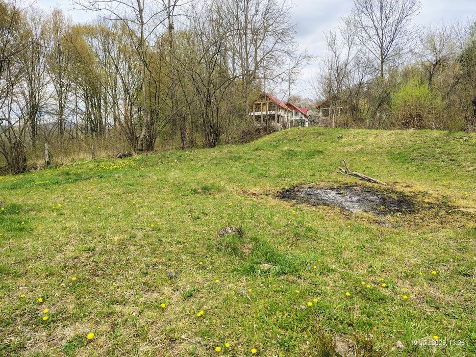 Teren Brădetu, Valea Vâlsanului - Argeș, intravilan!