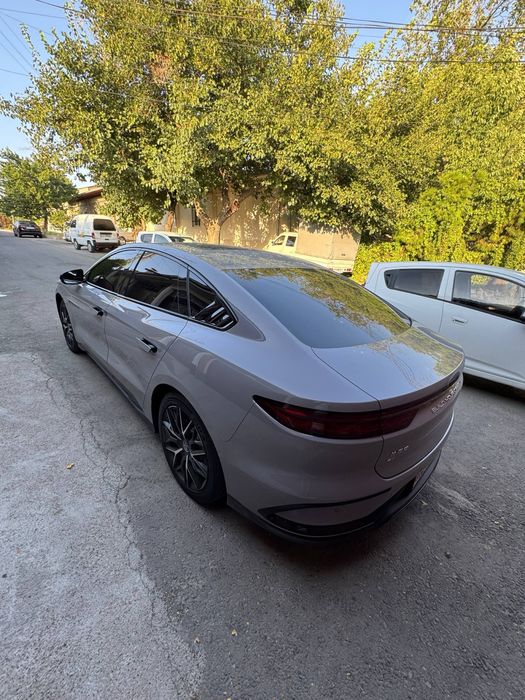 Byd Han 2025 yil