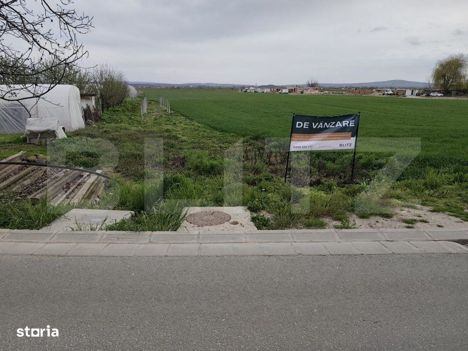 Teren 8600 mp in Podgoria