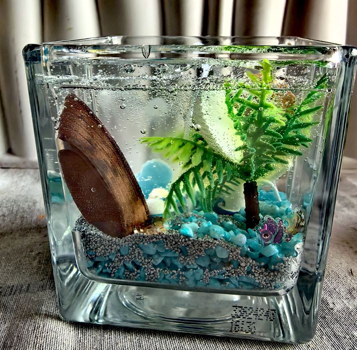 Морски Чаши  СВЕЩИ