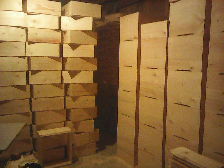 Stupi pe 12 rame 200 lei