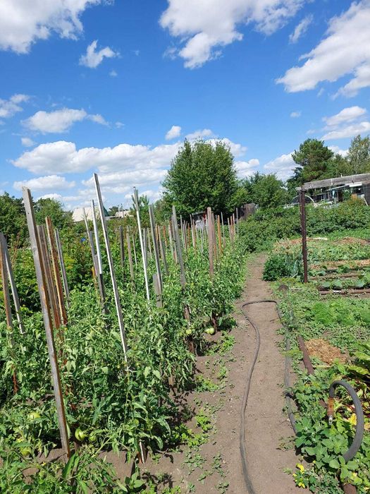 Продаётся дача, Федоровка